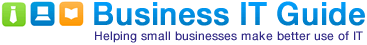 e-skills IT for business